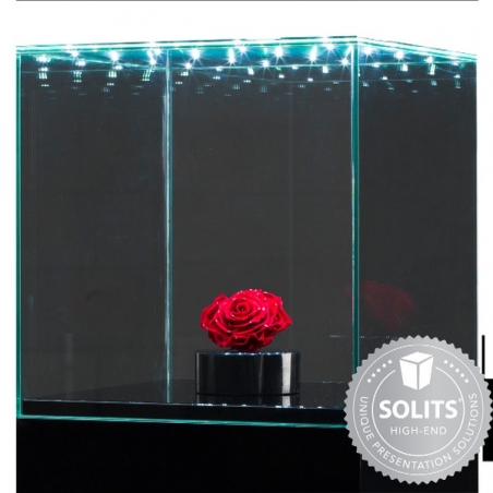 Glazen beschermkap met geintegreerde LED-verlichting 45 x 45 x 45 cm 