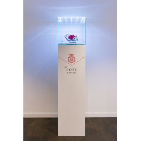 Glazen beschermkap met geintegreerde LED-verlichting 45 x 45 x 45 cm 
